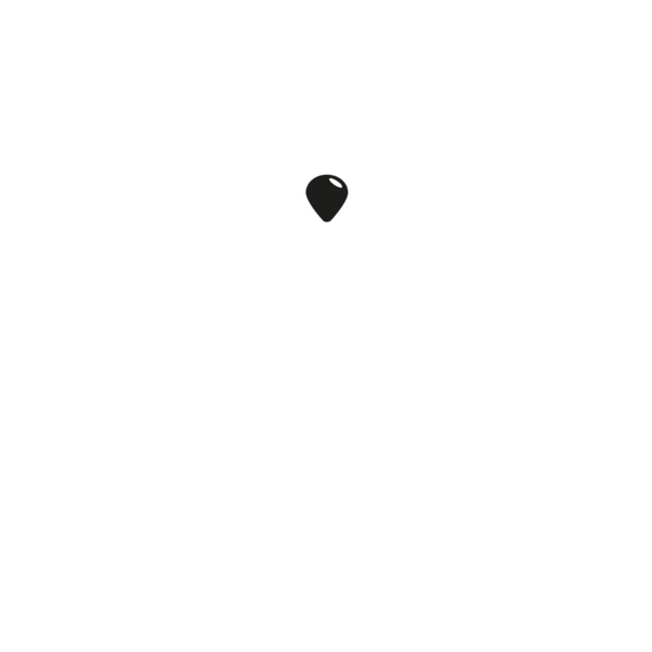 PupyFlush